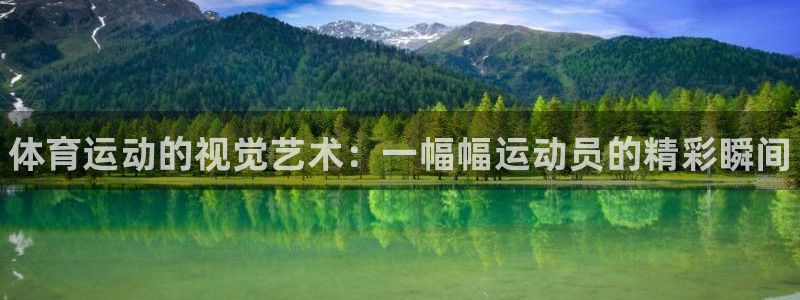 熊猫体育官网首页入口