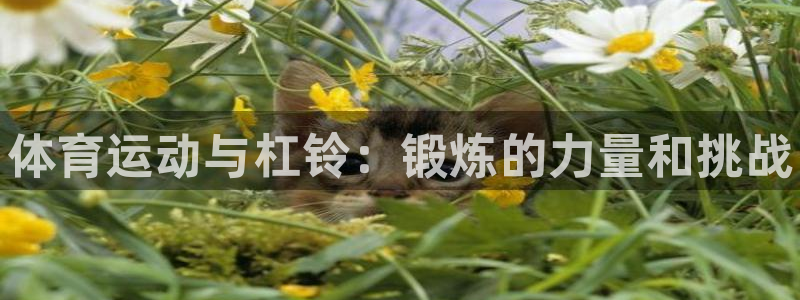 熊猫体育平台