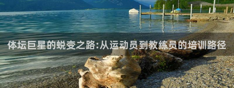 熊猫体育手机版下载