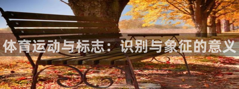 熊猫体育公园