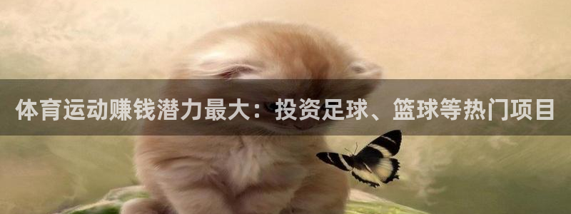熊猫体育网址