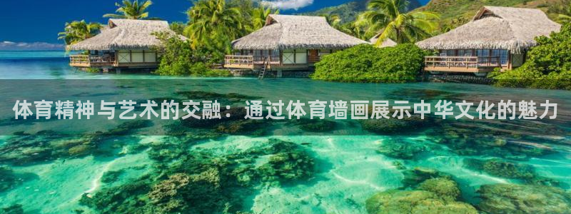 熊猫体育平台官网