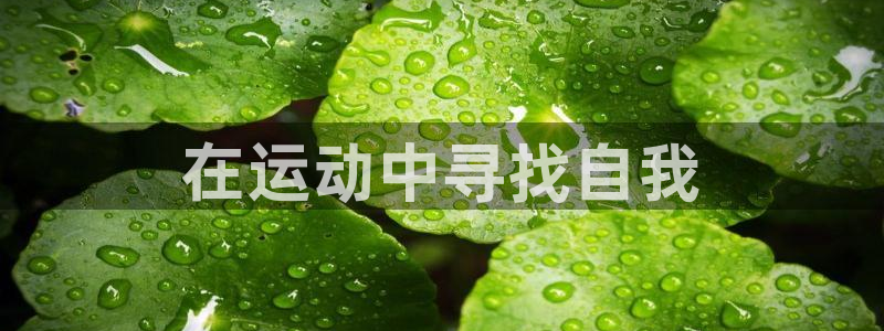 熊猫体育官网