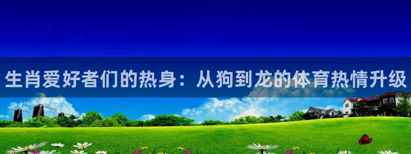 成都金熊猫体育