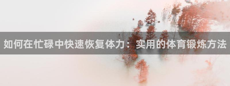 成都金熊猫体育