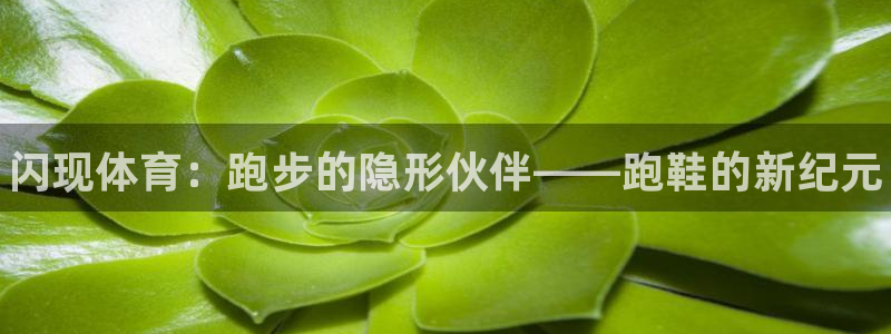 熊猫体育平台