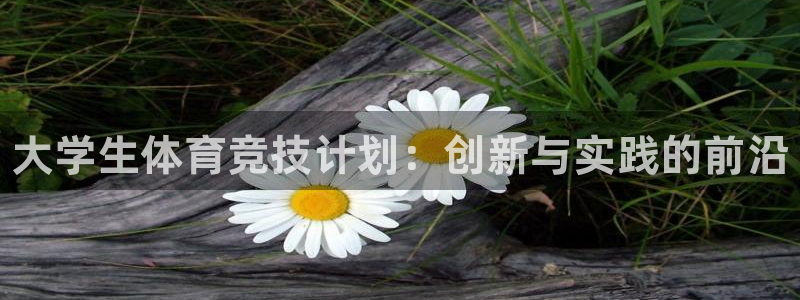 熊猫体育app下载安装