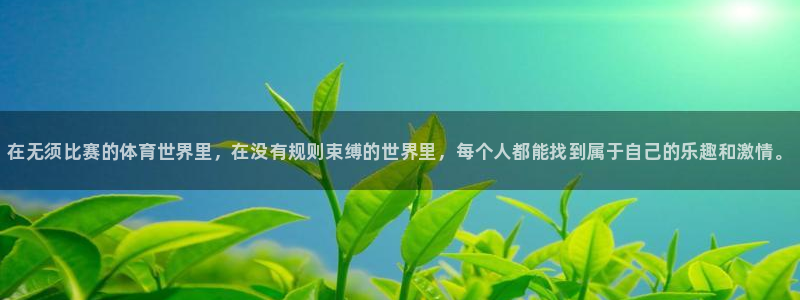 熊猫体育手机版