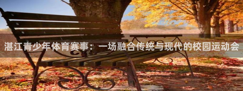 熊猫体育平台