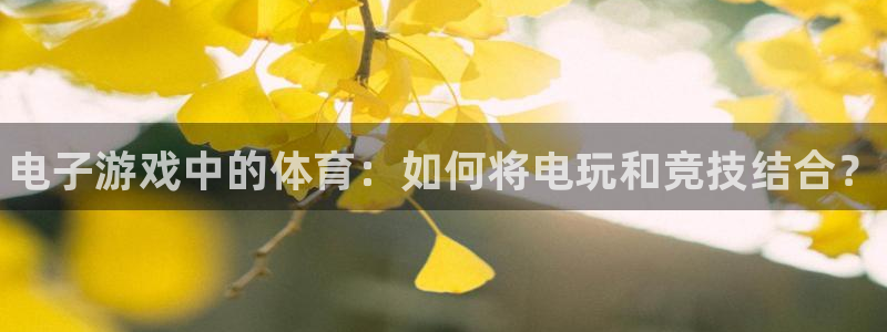 熊猫体育官网首页入口