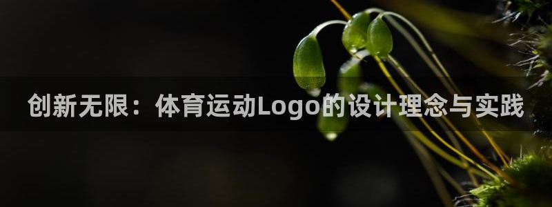 熊猫体育网址